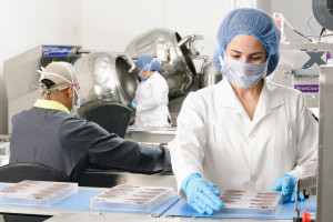 Good Manufacturing Practices in the Food Industry: Part II