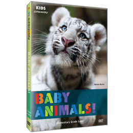 Kids @ Discovery: Baby Animals! DVD