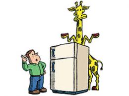 giraffe-video-training